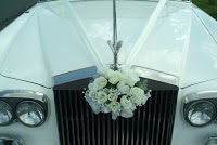 Confetti Wedding Cars 1075272 Image 6